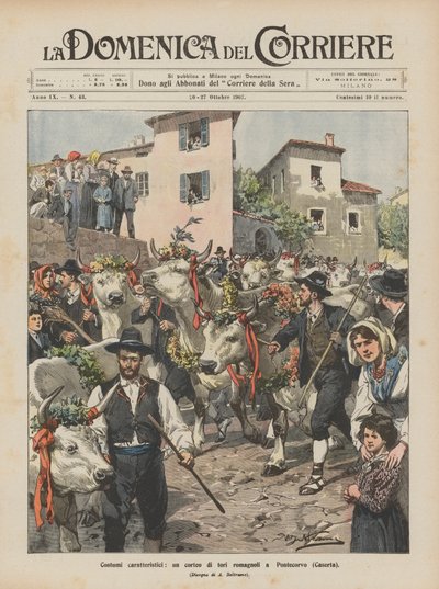 Costumes caractéristiques, un cortège de taureaux romagnols à Pontecorvo (Caserta) - Achille Beltrame