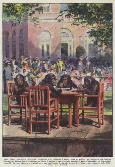 De la forêt à la table dressée - Achille Beltrame
