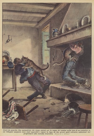 Chats de garde - Achille Beltrame