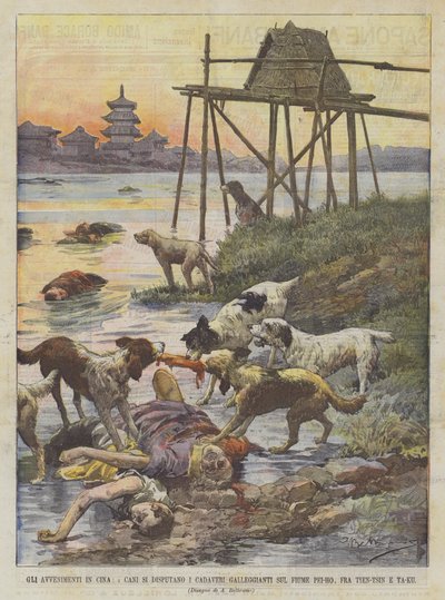 Les événements en Chine, les chiens se disputent les cadavres flottants sur le fleuve Pei-Ho, entre Tien-Tsin et Ta-Ku - Achille Beltrame