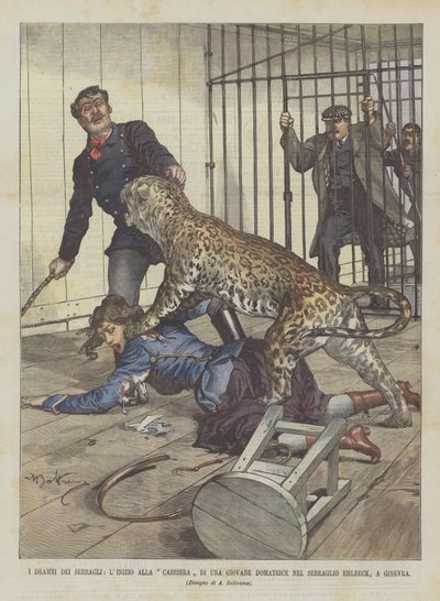Les drames des ménageries, le début de carrière d