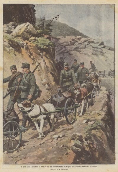 Les chiens à la guerre, le transport des approvisionnements en eau à nos positions avancées - Achille Beltrame