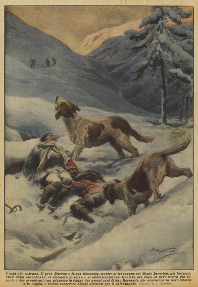 Les chiens qui sauvent - Achille Beltrame