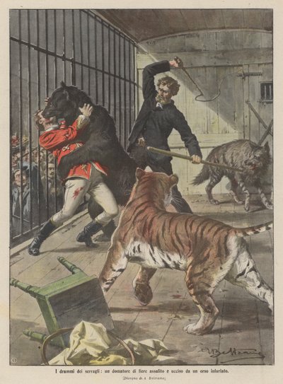 Les drames des ménageries, un dompteur attaqué et tué par un ours enragé - Achille Beltrame