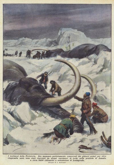 Les témoins de la Préhistoire - Achille Beltrame
