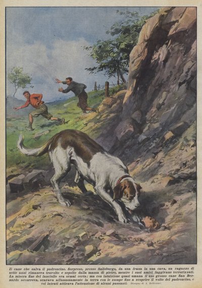 Le chien qui sauve son petit maître - Achille Beltrame