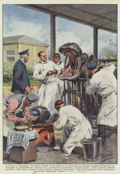 Le dentiste et l