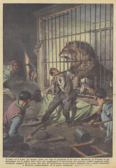 Le voleur et le lion - Achille Beltrame