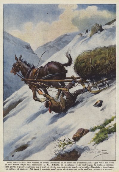Le mulet neurasthénique - Achille Beltrame