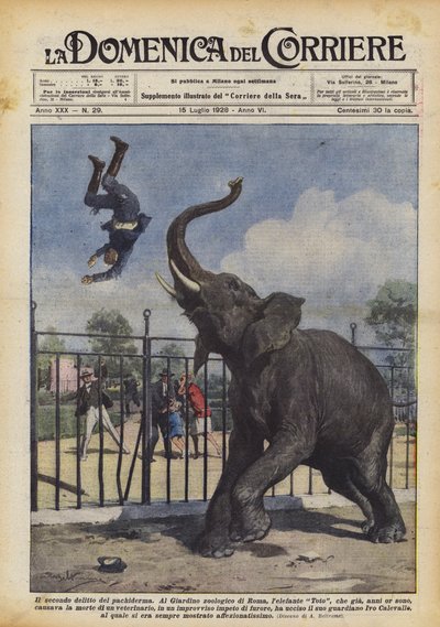 Le deuxième crime du pachyderme - Achille Beltrame