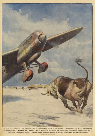 Le taureau et l