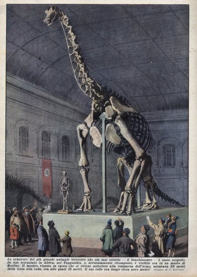 Installation dans un musée à Berlin, Allemagne, d