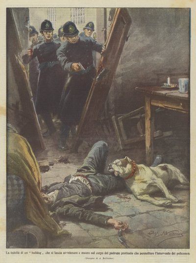 La fidélité d