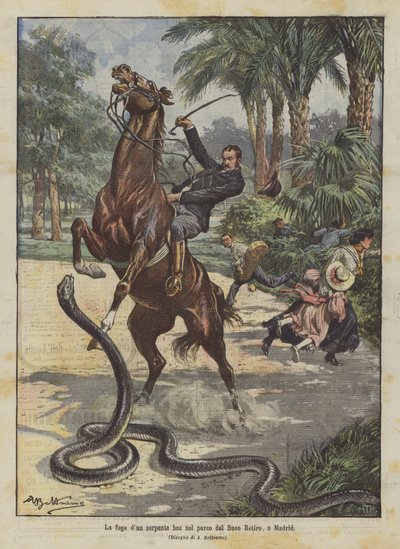 La fuite d