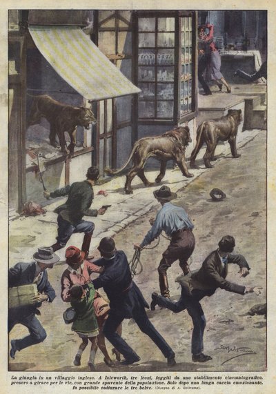 La jungle dans un village anglais - Achille Beltrame