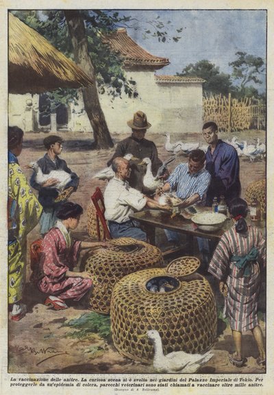 La vaccination des canards - Achille Beltrame