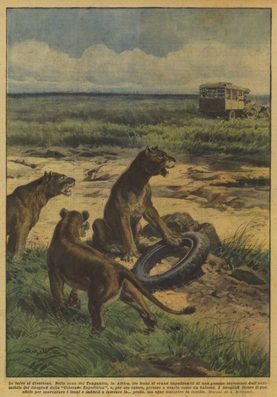 Les bêtes s