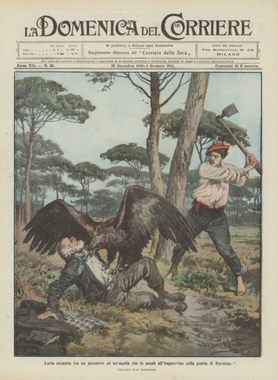 Lutte acharnée entre un pêcheur et un aigle qui l
