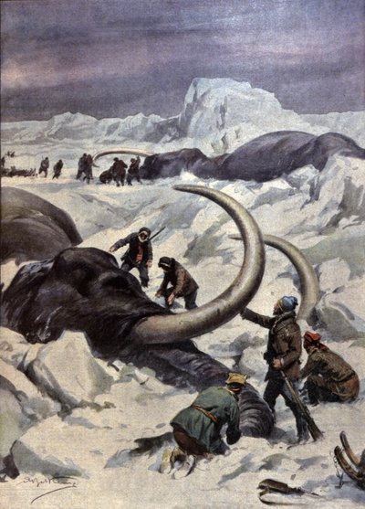 Mammouths au pôle Nord - Achille Beltrame