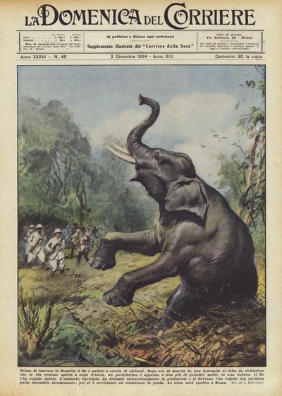 Avant de quitter la Somalie, le Roi est allé chasser les éléphants - Achille Beltrame