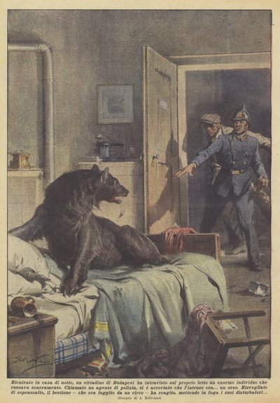 Rentré chez lui la nuit, un citoyen de Budapest a aperçu sur son lit un énorme - Achille Beltrame