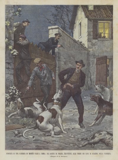 Découverte d