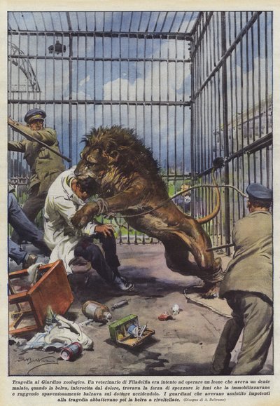 Tragédie au jardin zoologique - Achille Beltrame