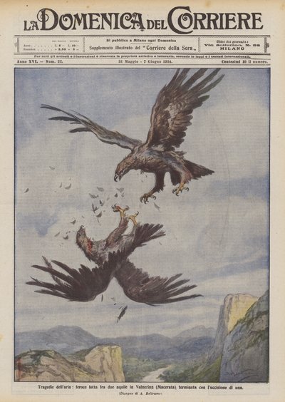 Tragédies aériennes, lutte féroce entre deux aigles dans la Valnerina (Macerata) se terminant par la mort de l