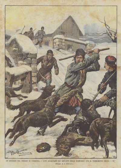 Un épisode du froid en Hongrie, les loups attaquent les habitants des campagnes où le thermomètre indique -15° - Achille Beltrame