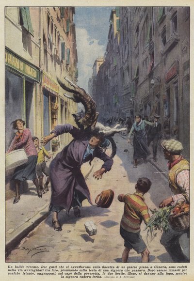 Un bolide vivant - Achille Beltrame