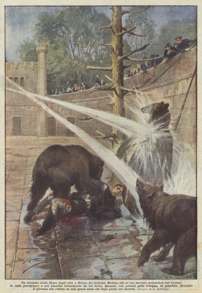 Un drame dans la Fosse aux ours, à Berne - Achille Beltrame