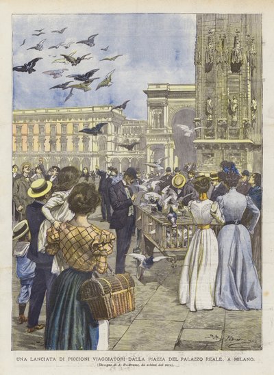 Un lâcher de pigeons voyageurs depuis la place du Palais Royal, à Milan - Achille Beltrame