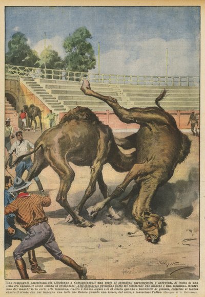 Une compagnie américaine organise à Constantinople une série de spectacles caractéristiques et non violents - Achille Beltrame