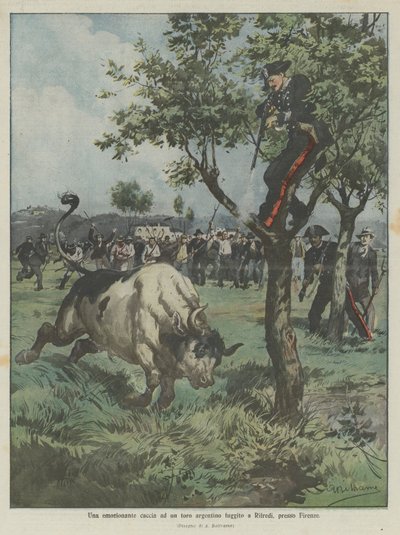 Une chasse émouvante à un taureau argentin échappé à Rifredi, près de Florence - Achille Beltrame