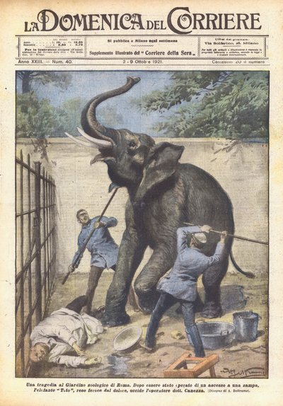Une tragédie au Jardin zoologique de Rome - Achille Beltrame
