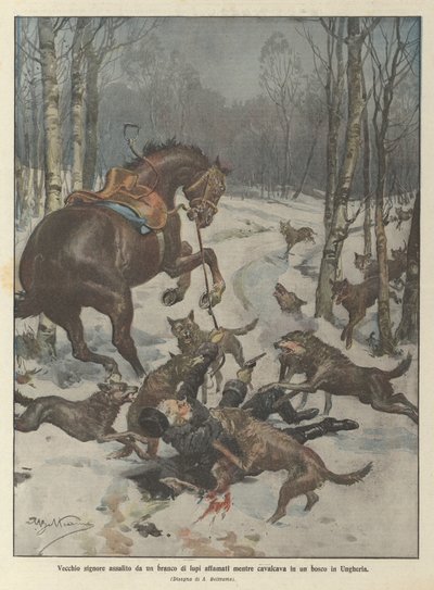 Vieil homme attaqué par une meute de loups affamés en Hongrie - Achille Beltrame