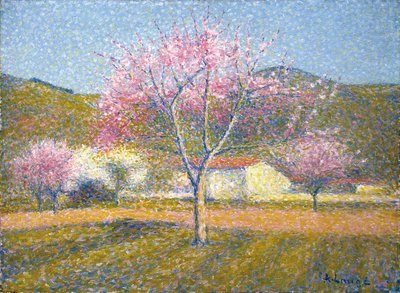 Un verger au printemps (pommiers en fleurs) - Achille Lauge
