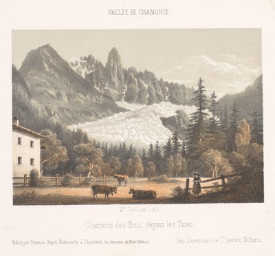 Vue de Chamonix et du Mont Blanc depuis le nord (Souvenir de Chamonix-Mont-Blanc) - Ad. Cuvillier
