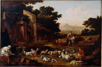 Tonte des moutons - Adam Colonia