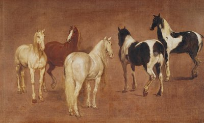 Étude de cinq chevaux - Adam Frans van der Meulen
