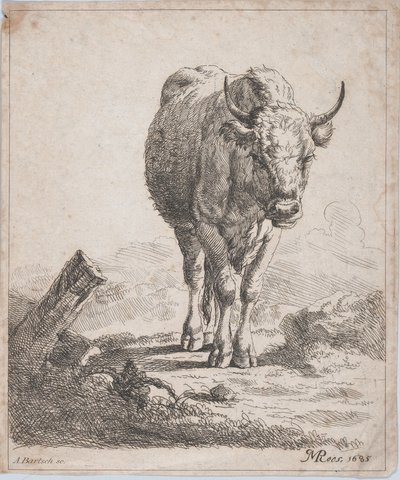 Une vache, vue de face, 1805 - Adam von Bartsch
