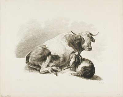 Morceau d
