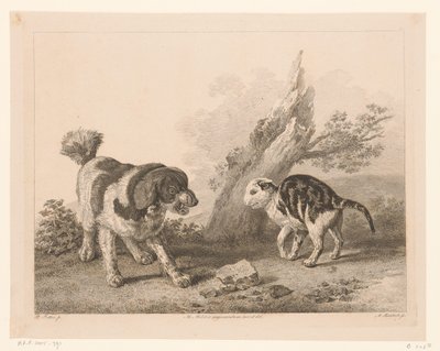 Chien et chat en position de combat - Adam von Bartsch