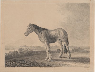 Cheval debout sur un champ en profil à gauche - Adam von Bartsch
