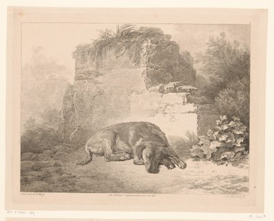 Chien endormi devant un mur (série Dieren naar schilderijen van Hollandse meesters, Différens animaux gravés d