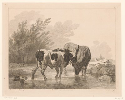 Deux vaches dans un ruisseau - Adam von Bartsch