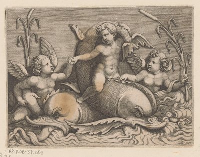 Trois putti avec des dauphins - Adamo Scultori
