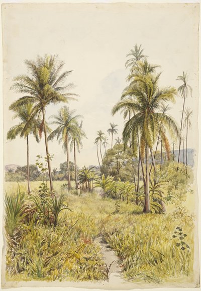 Palmiers, Colima - Adela Breton