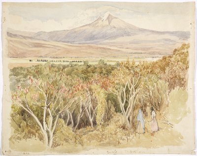 Le volcan Popocatépetl depuis Yautepec, État de Morelos, Mexique - Adela Breton
