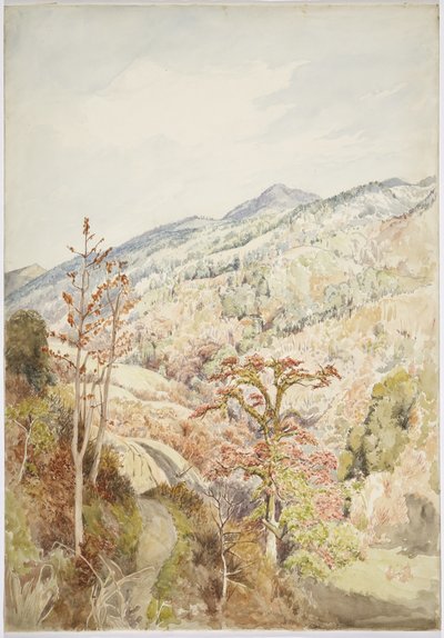 Vallée boisée - Cuetzalan, Puebla, Golfe du Mexique (aquarelle et graphite) - Adela Breton